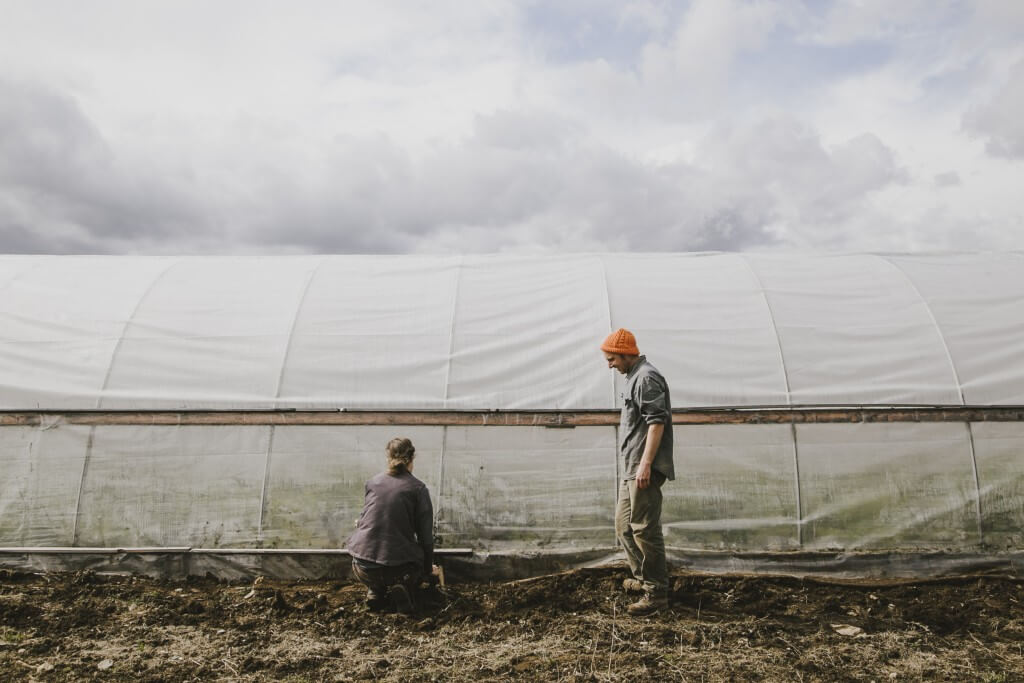 Two farmers working near a large white greenhouse on cloudy day