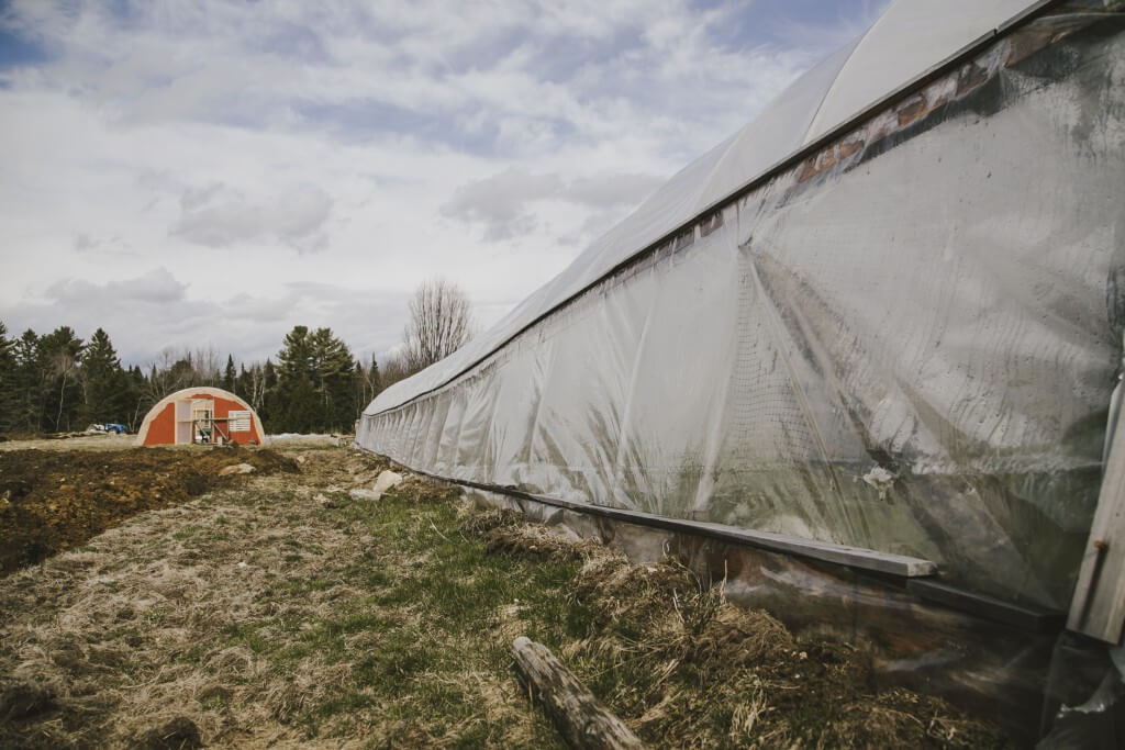 Large greenhouse with orange hut in forested area with cloudy sky