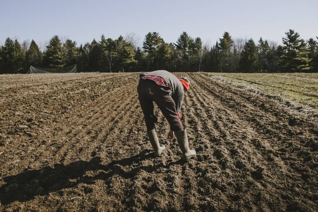 Person working in muddy field with pine trees and soccer goal in background