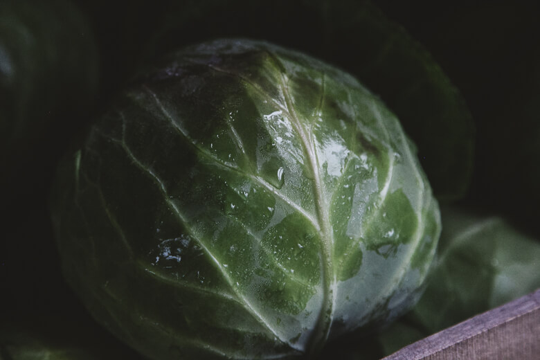 Fresh Brussels sprout with water droplets on dark background