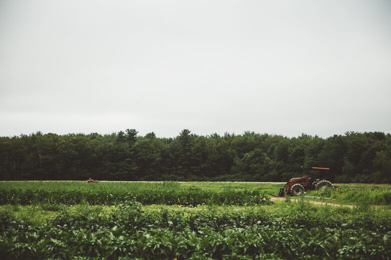 Red tractor in green field with forest on overcast day