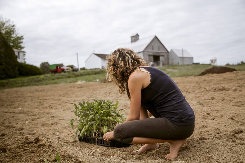 Person planting seedlings on farm with barn in background