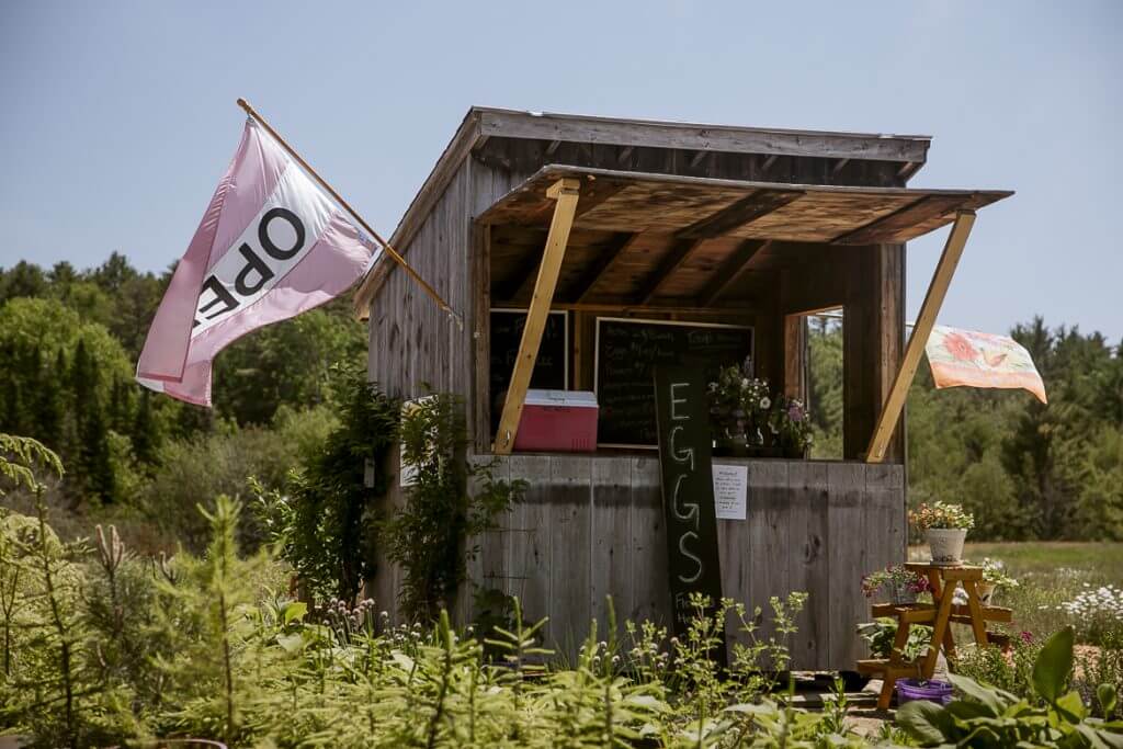 Rustic wooden eggs stand with pink flags in a sunny garden setting