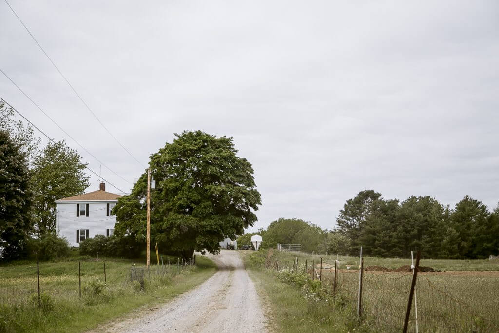 Gravel road leading to white farmhouse with trees and fence