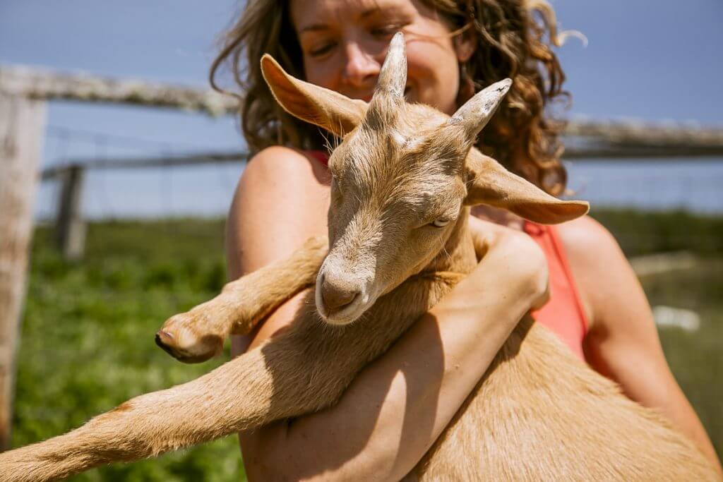 Curly-haired woman embracing a young goat on a sunny farm