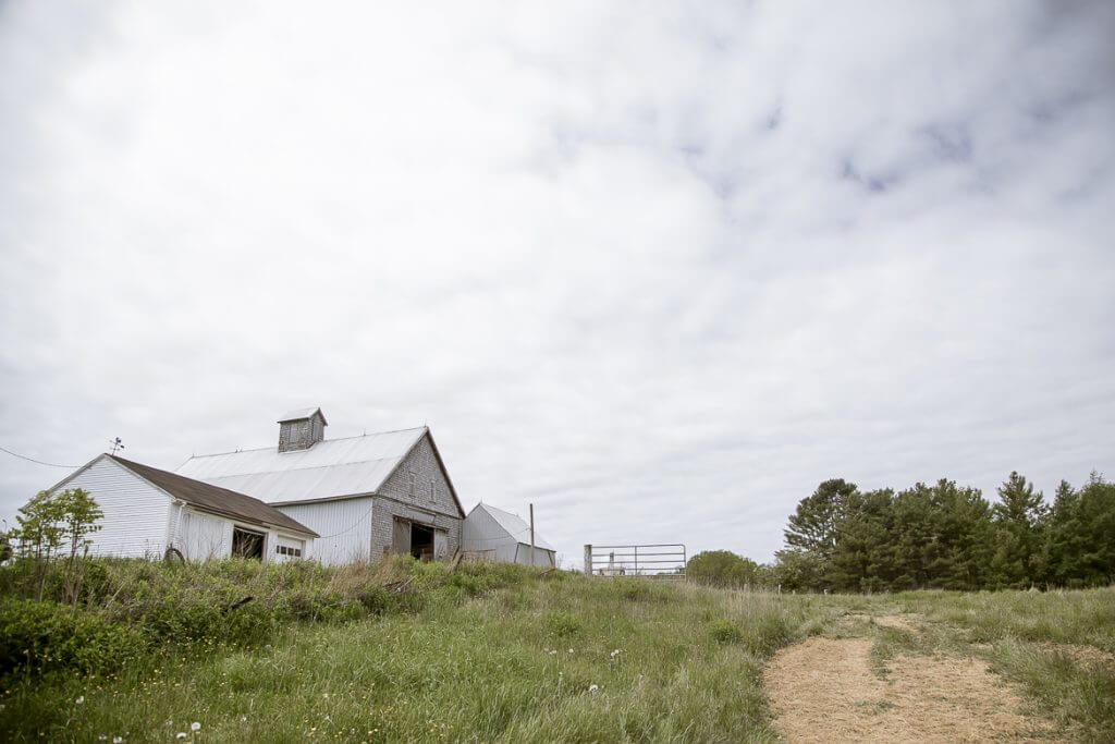 Old white barn on grassy field with pine trees under cloudy sky