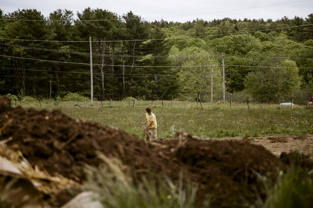 Person working in grassy field with forest and power lines in background
