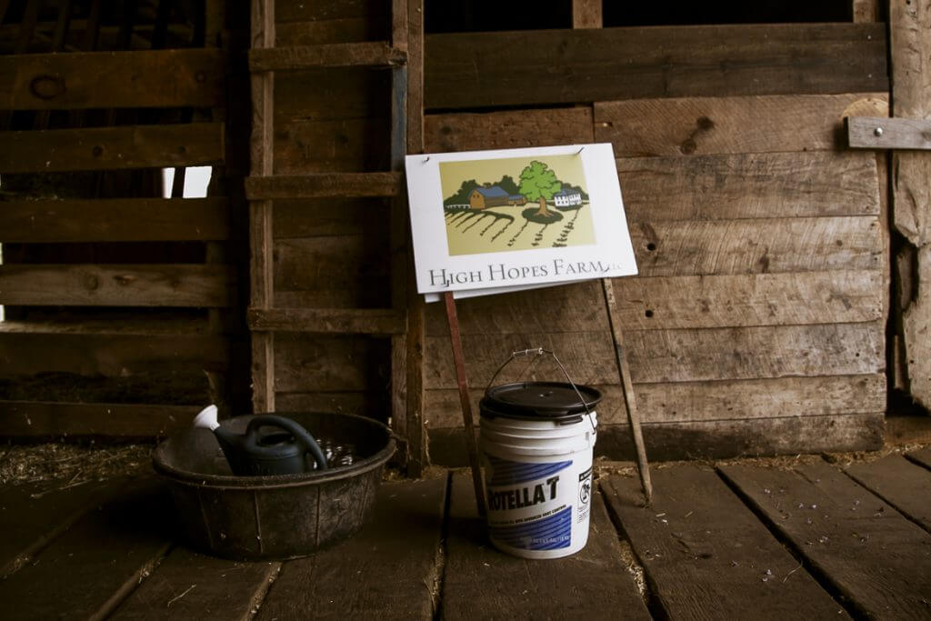 High Hopes Farm sign in rustic wooden barn with bucket and basin