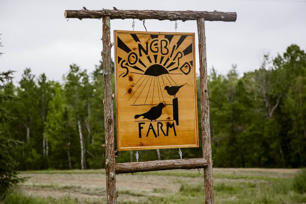 Songbird Farm wooden sign with birds, sun, hanging on rustic log frame