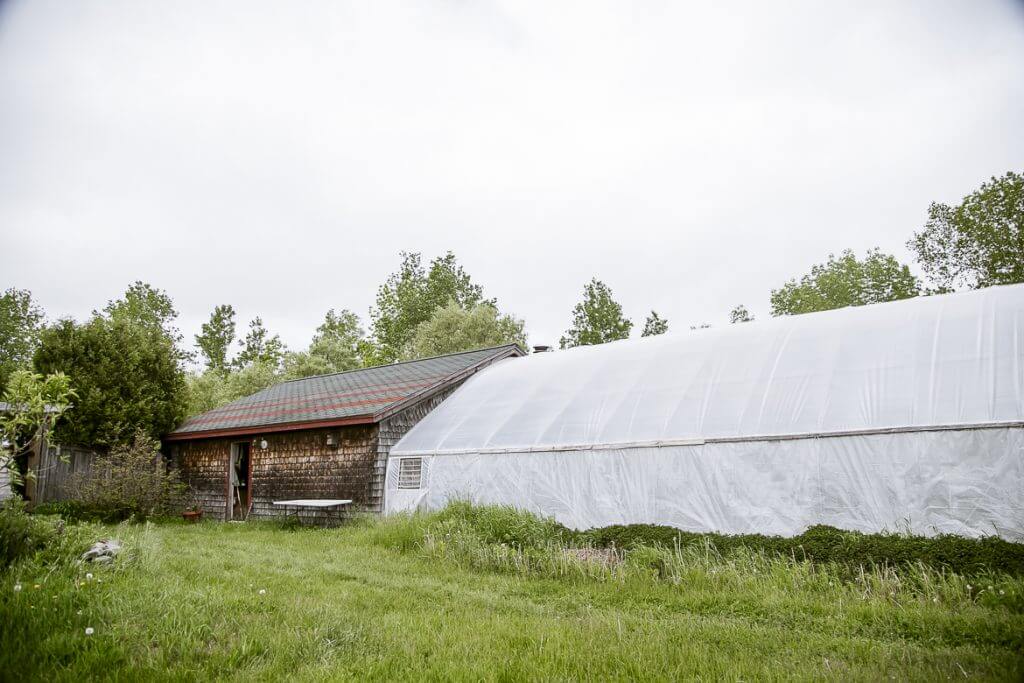 Wooden shed and large white greenhouse in grassy rural landscape