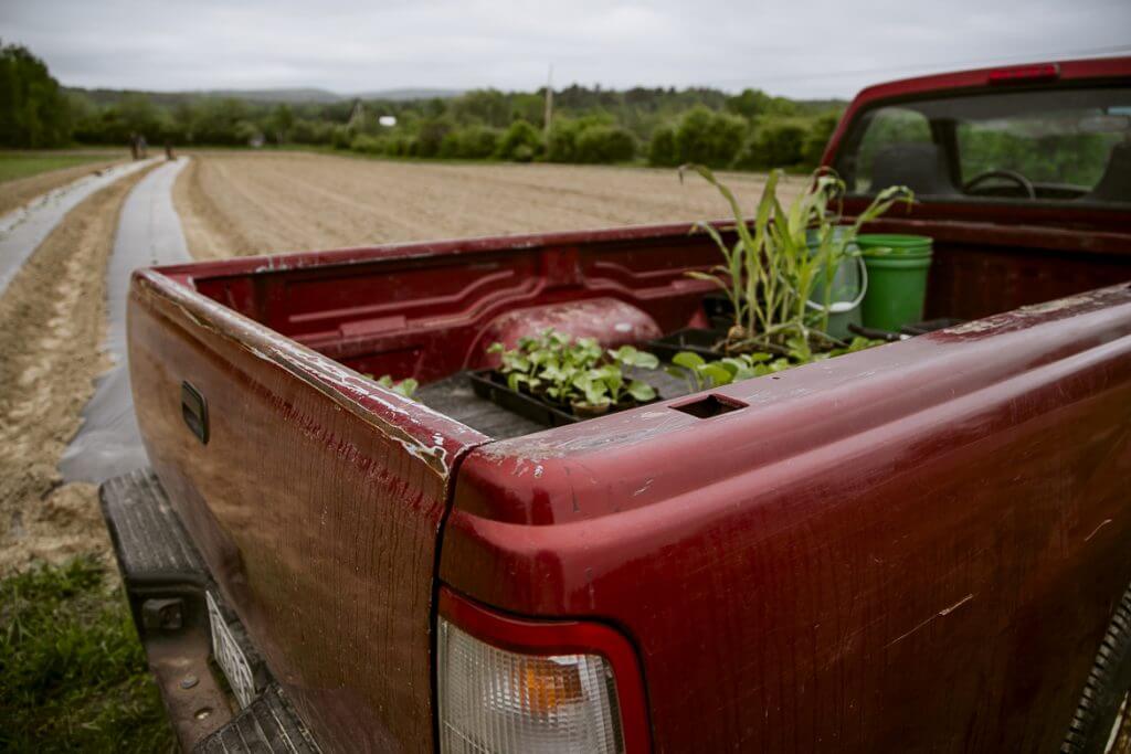 Red truck bed with green plants and bucket on farm field road