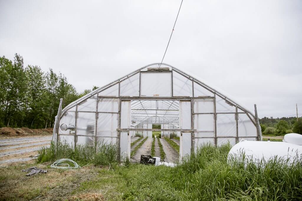 White greenhouse with rows of crops on a cloudy agricultural landscape