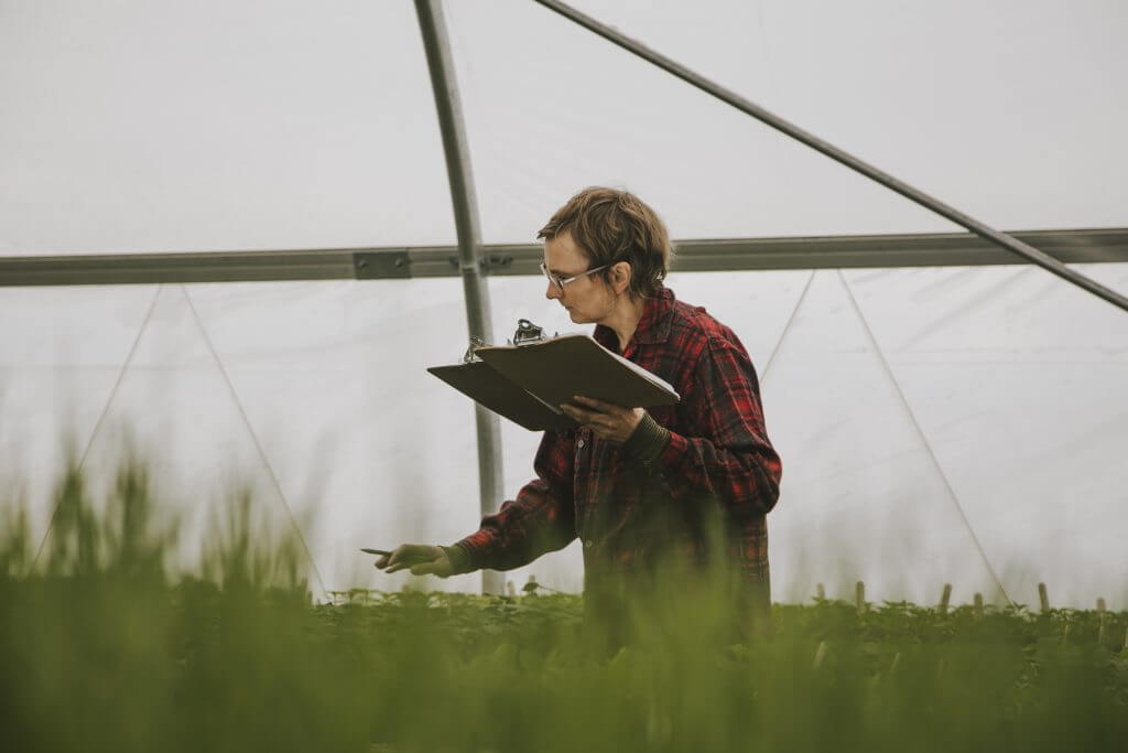 Researcher in plaid shirt examining plants inside a greenhouse