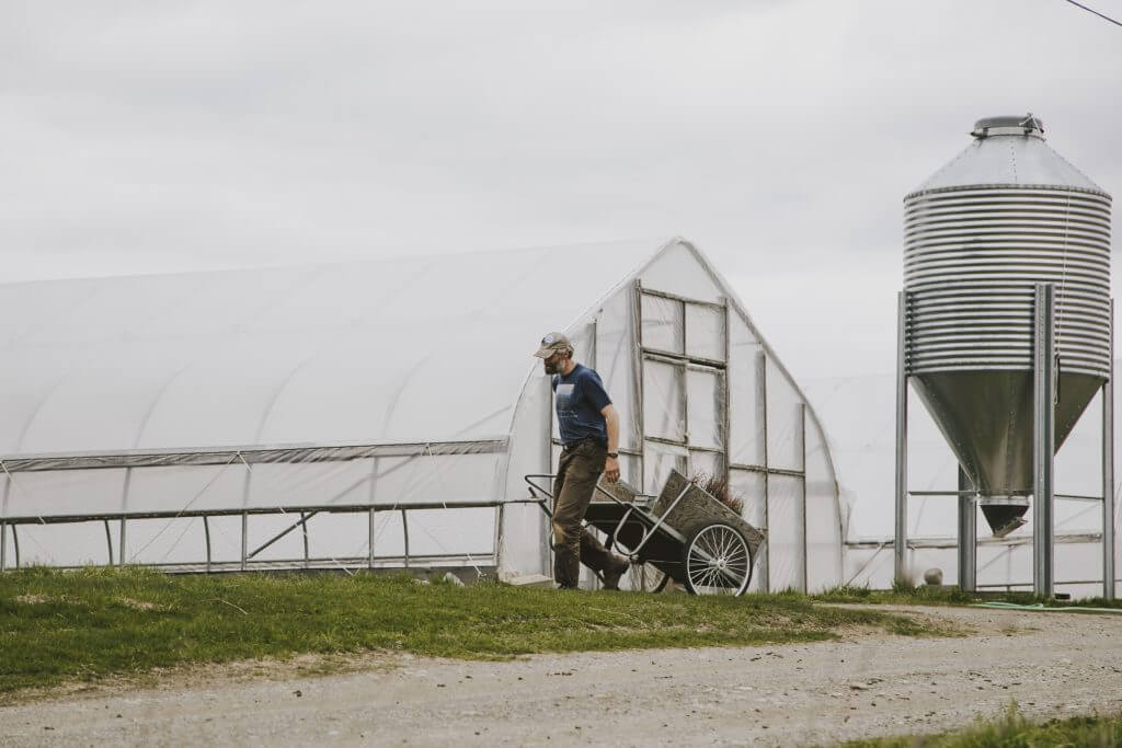 Farmer with wheelbarrow near greenhouse and grain silo on overcast day