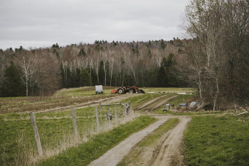 Tractor on dirt road near fenced field with forest in background