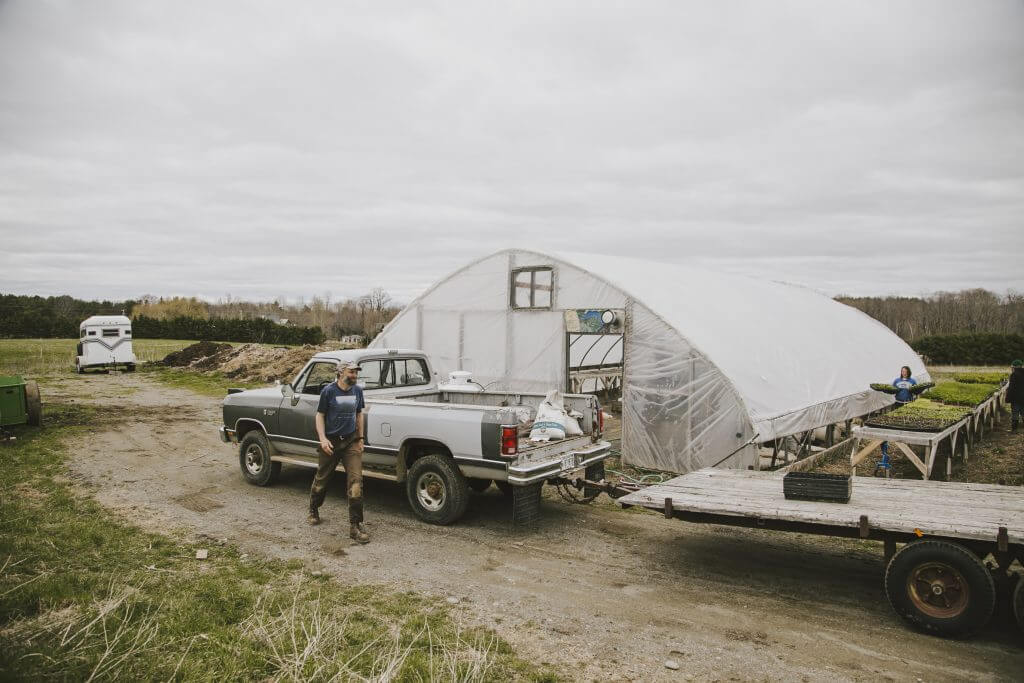 Farm worker near greenhouse and truck on overcast day