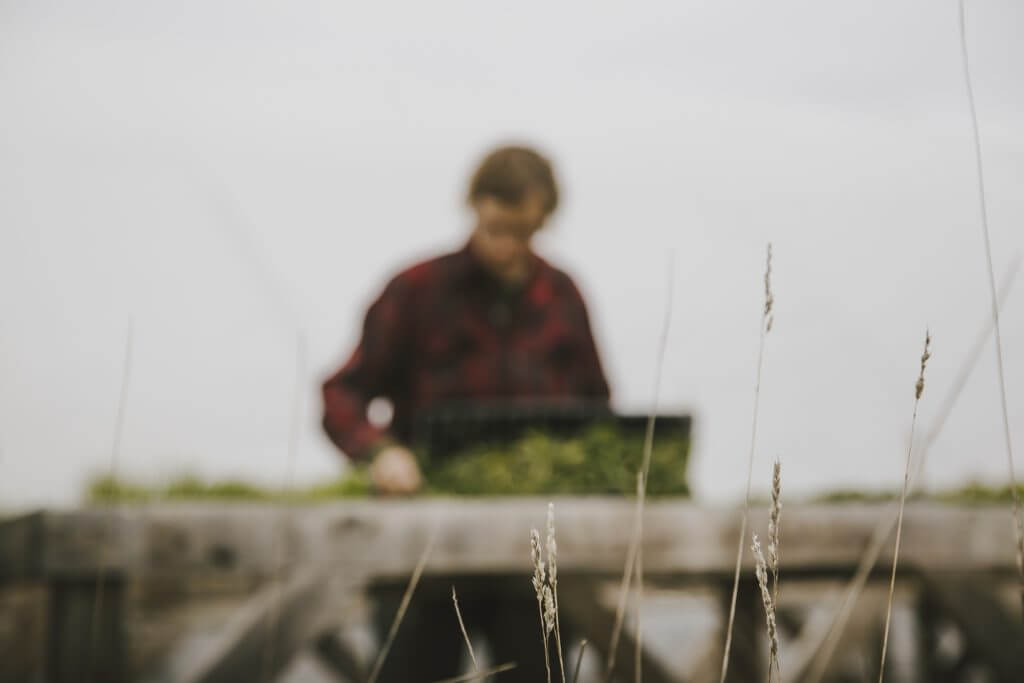 Person in plaid shirt working at outdoor wooden table with grass