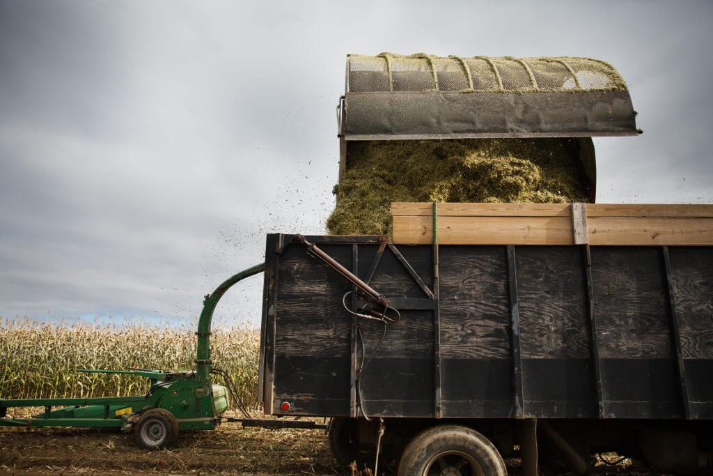 Green harvester loading chopped corn into wooden-sided agricultural trailer