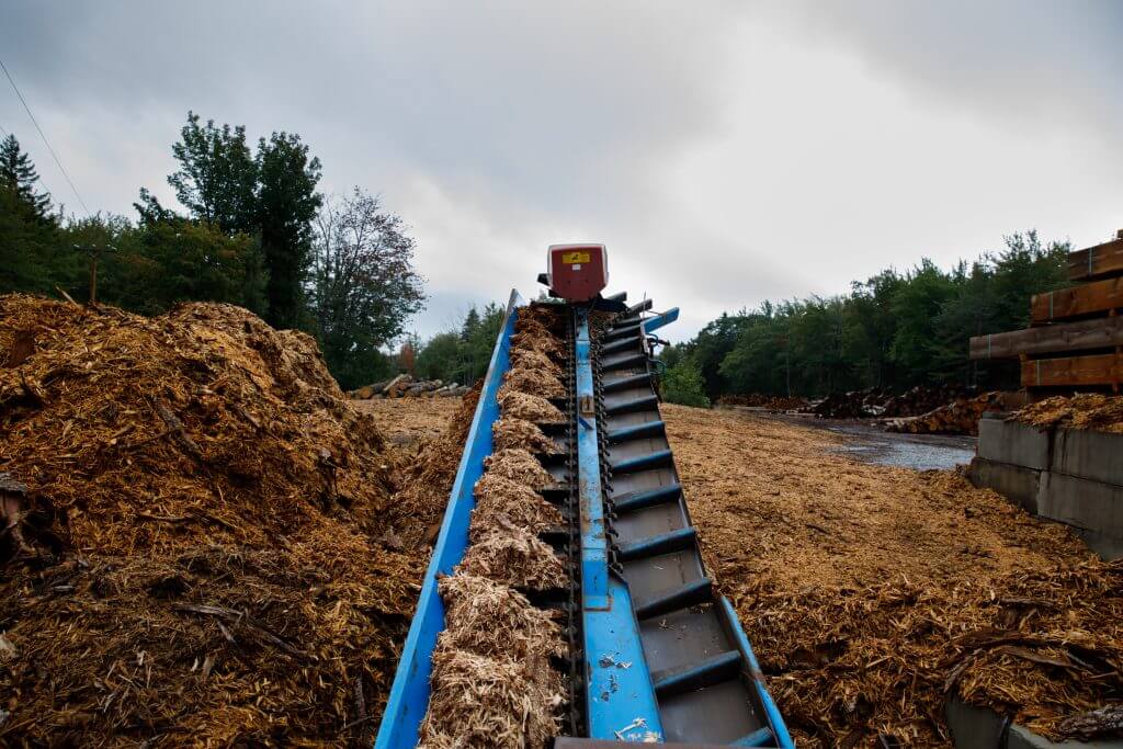 Blue conveyor belt transporting wood chips in forest lumber processing site