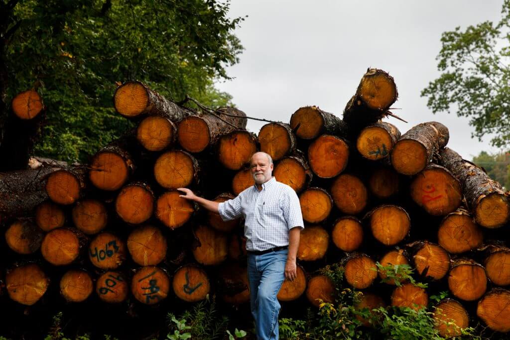 Older man standing next to large stack of freshly cut wooden logs