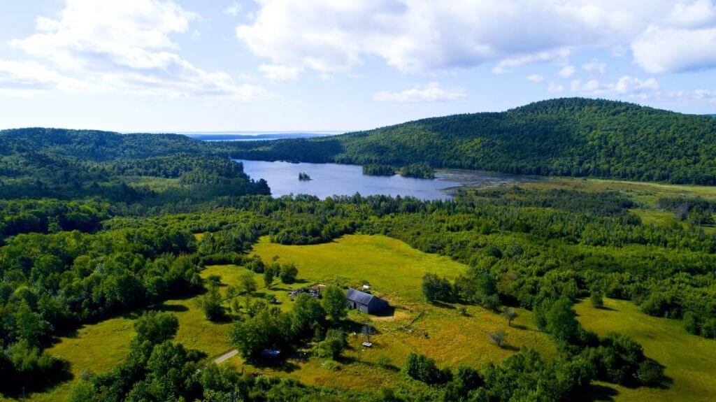 Aerial view of lush green forest, meadow, and lake surrounded by mountains