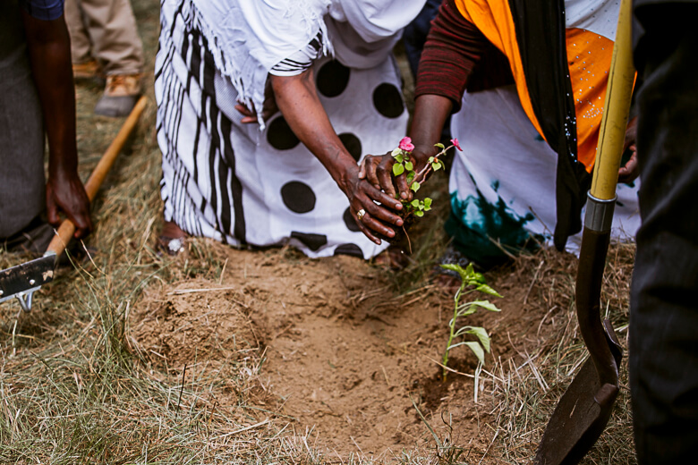Hands planting a small green plant in soil during community gardening event