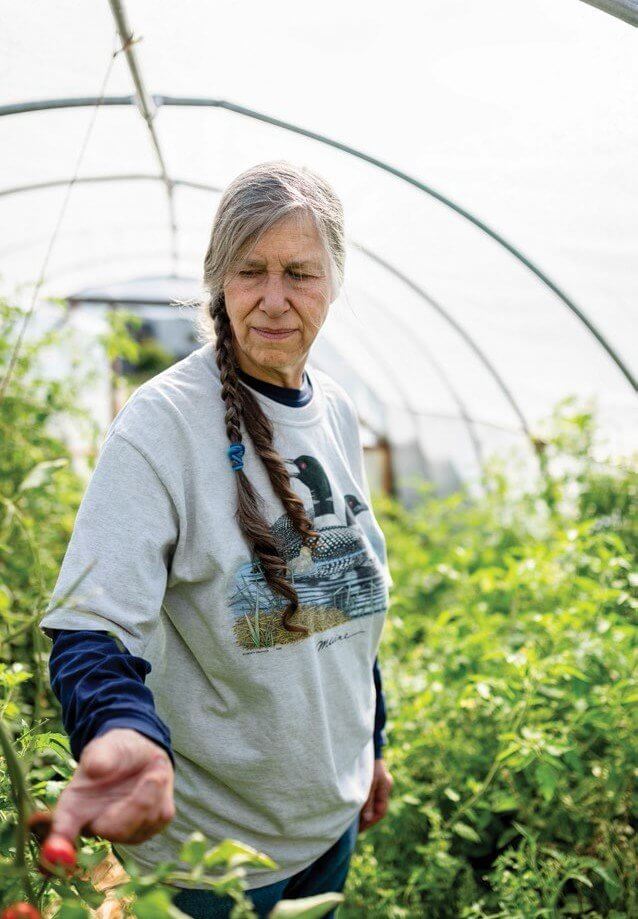 Elderly gardener with braided hair tends to plants in greenhouse