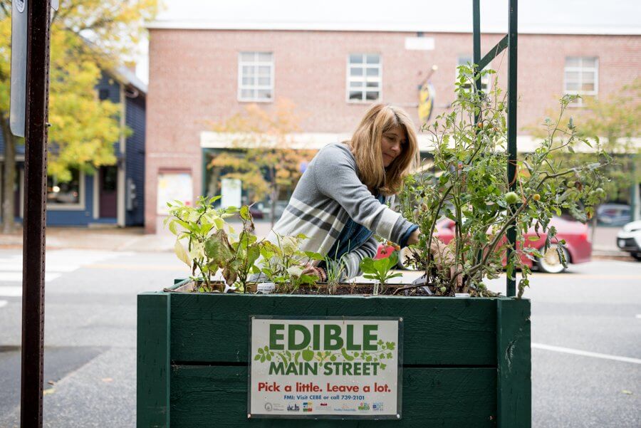 Woman tending to plants in Edible Main Street community garden planter