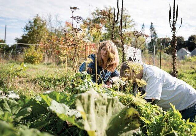 Two people tending to a lush garden on a sunny day