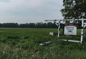 Drone near real estate sign in grassy field with trees in background