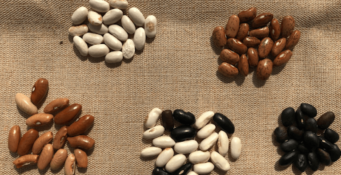 Five different varieties of beans arranged on a textured beige background