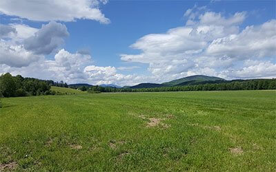 Green meadow with rolling hills and fluffy clouds under blue sky