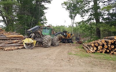 Logging machinery and cut timber stacked in a forest clearing