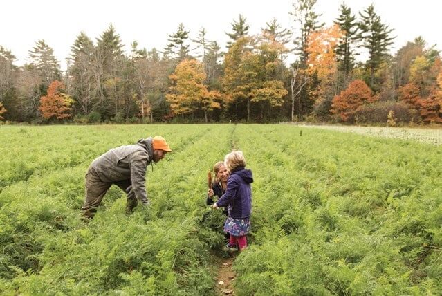 Family harvesting carrots together in autumn field surrounded by colorful trees