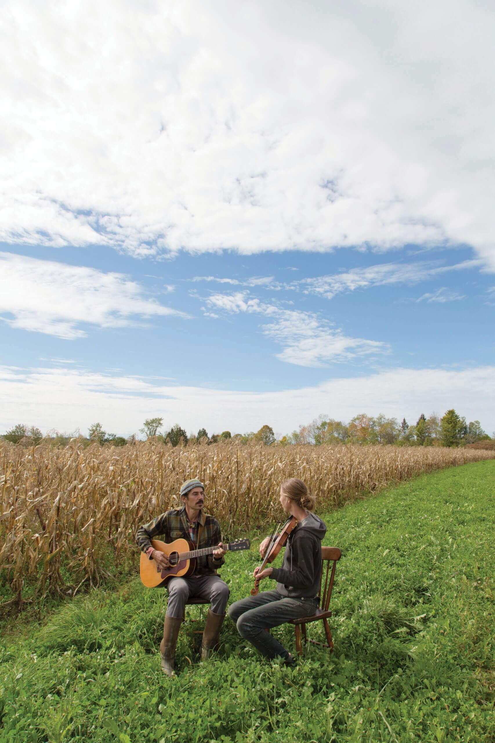 Two musicians playing acoustic guitars in a grassy field near cornfield