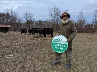 Elderly farmer with Forever Farms sign standing near black cattle in field