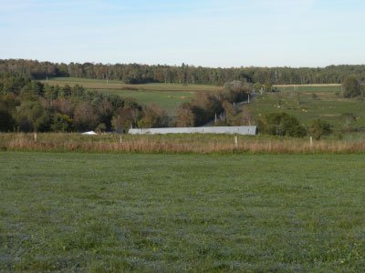 Green pasture with forest and fields in rural countryside landscape