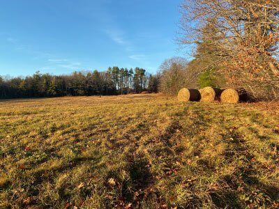 Golden hay bales in autumn field under blue sky with distant trees