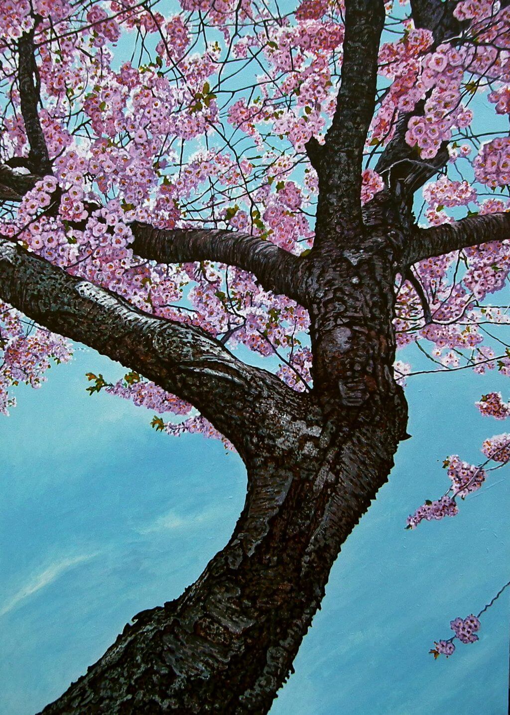 Blooming cherry tree with pink blossoms against a clear blue sky