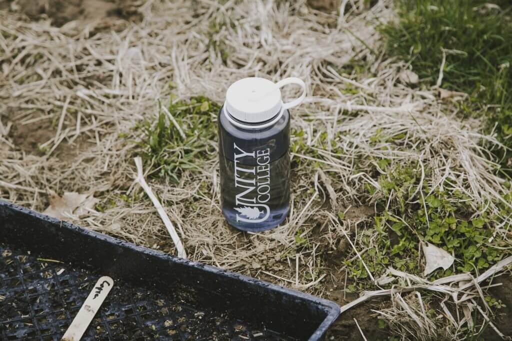 Water bottle on straw and grassy ground near gardening tray