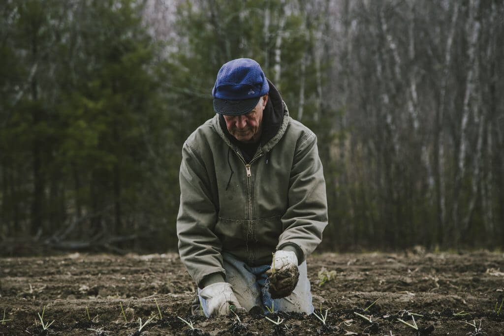 Elderly person planting seeds in bare soil with forest in background