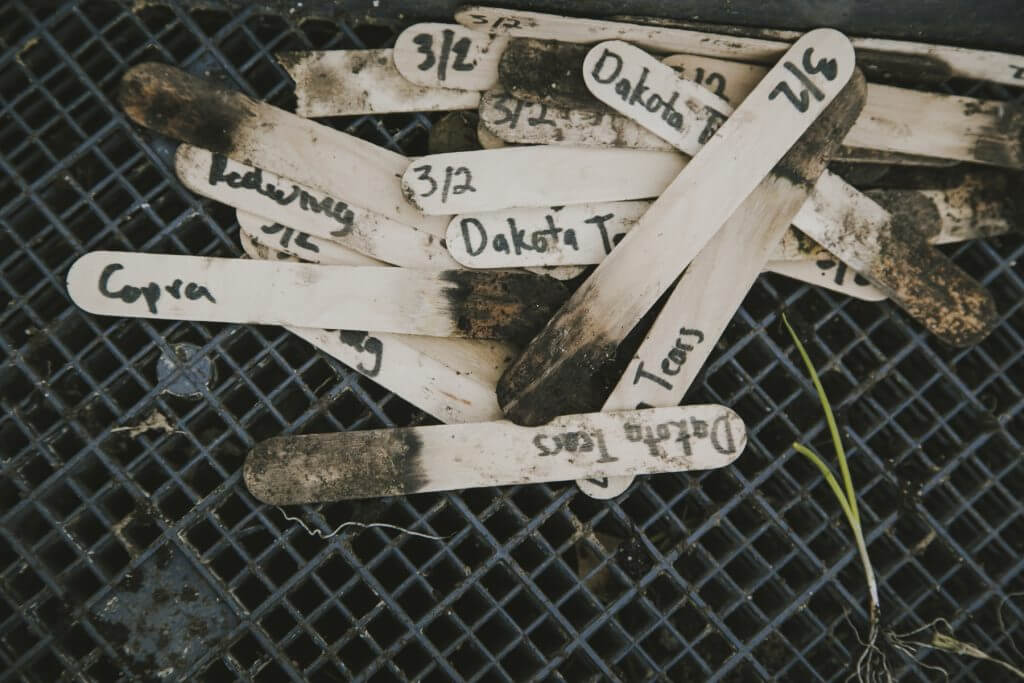 Dirty wooden plant labels with names like Dakota scattered on mesh background