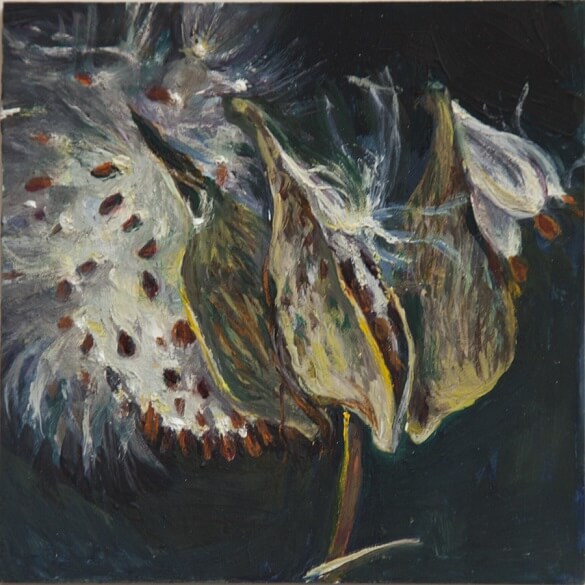 Dried milkweed pods with seeds, painted in moody dark colors