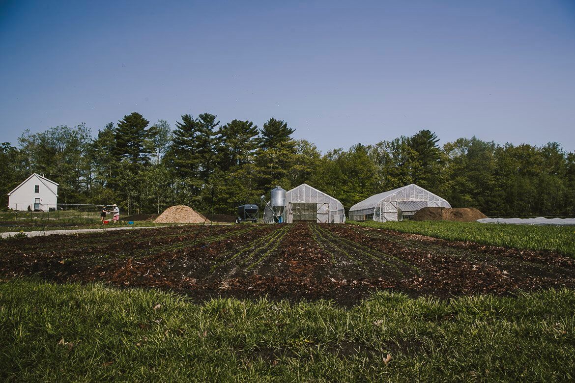 Farm with greenhouses, plowed fields, and pine trees on a clear day