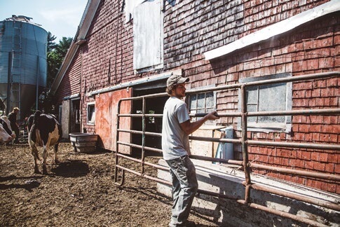 Farmer near barn with dairy cow and metal silo on rustic farm