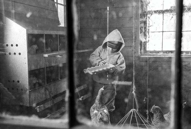 Hooded figure feeding chickens in a wooden coop through wire fence