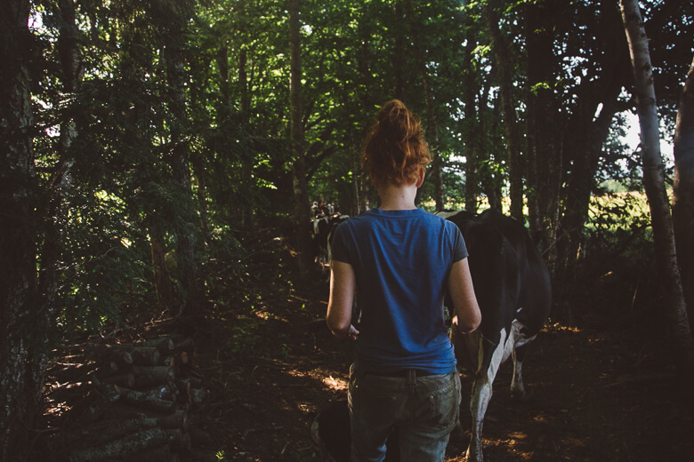 Person walking on forest path with dappled sunlight through trees