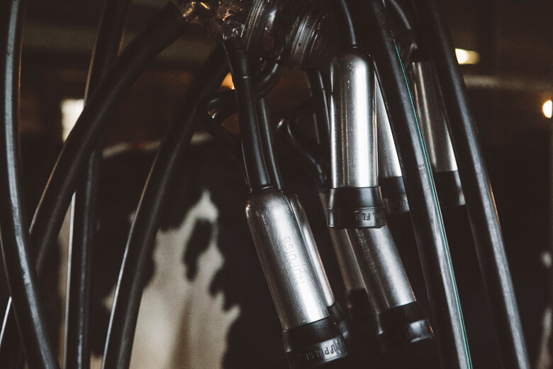 Cluster of metallic camera tripod legs in dark, moody lighting