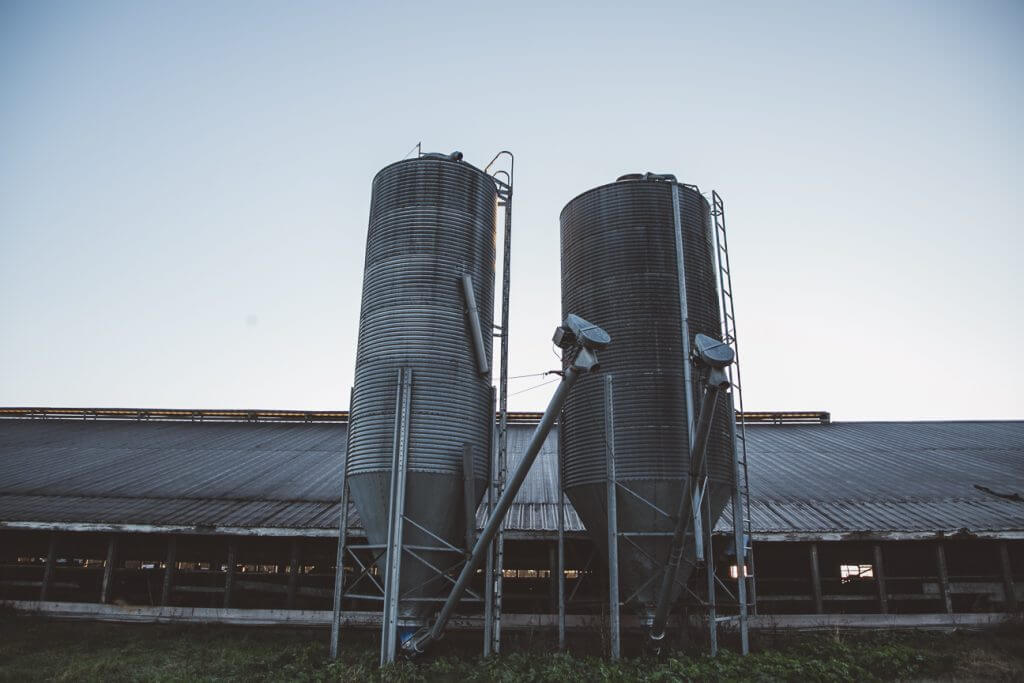 Two large grain silos next to a metal farm building at dusk