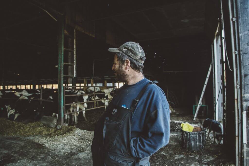 A man standing in front of a barn full of cows